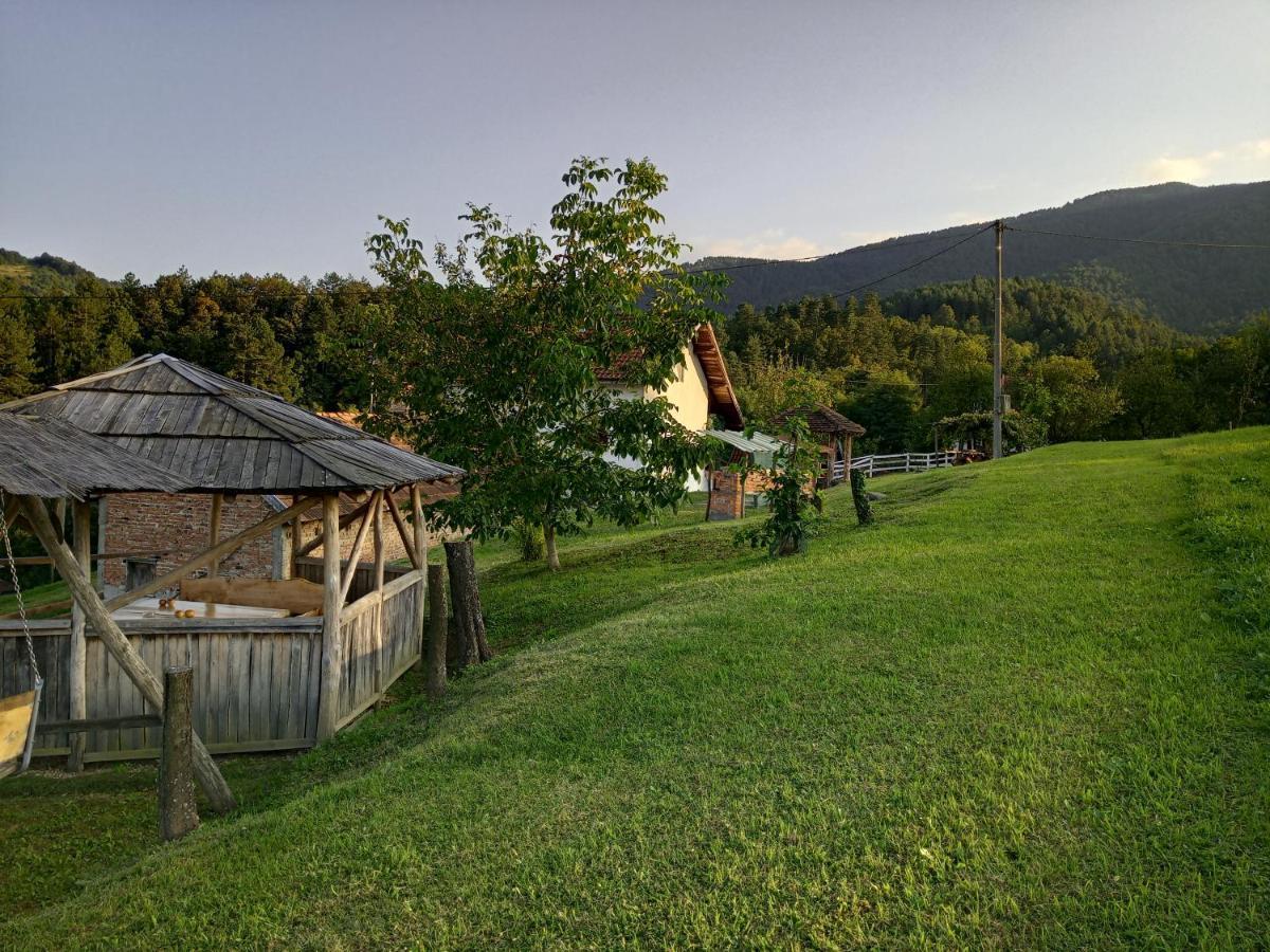 Country House Roman Ντόμποϊ Εξωτερικό φωτογραφία