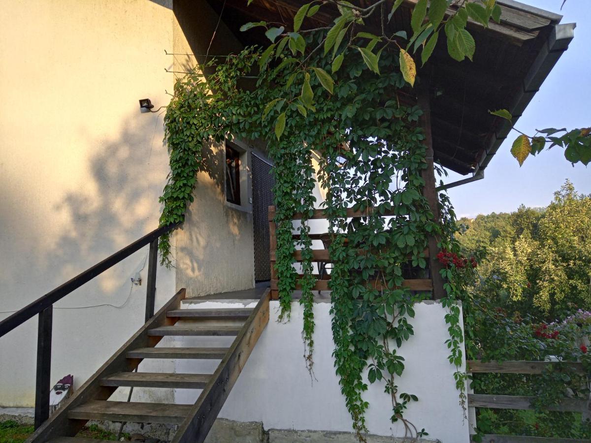 Country House Roman Ντόμποϊ Εξωτερικό φωτογραφία