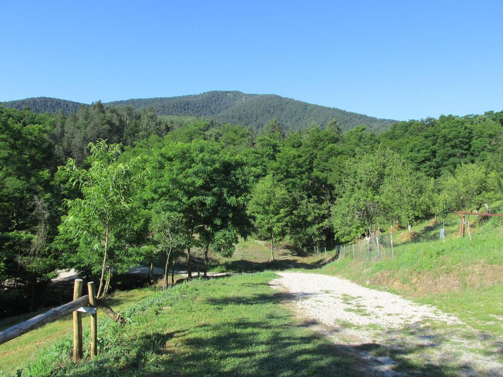 Country House Roman Ντόμποϊ Εξωτερικό φωτογραφία