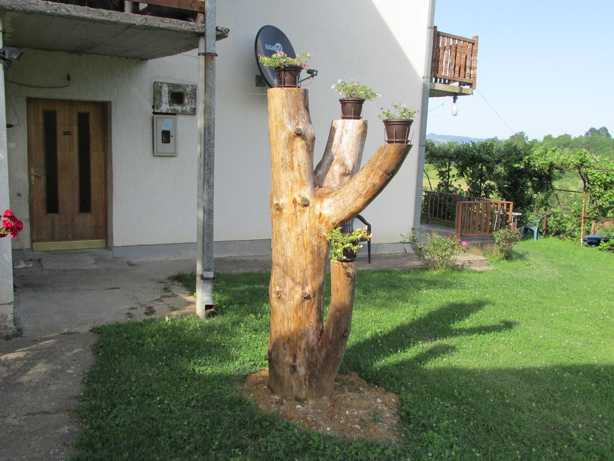 Country House Roman Ντόμποϊ Εξωτερικό φωτογραφία